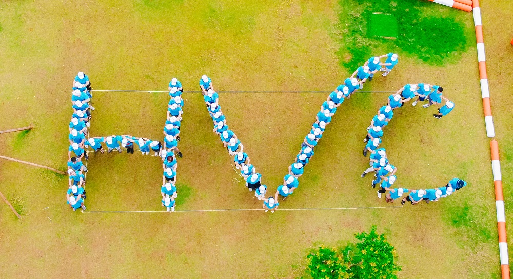 HVC 22